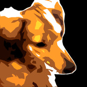 mycoffeeboy's profile picture