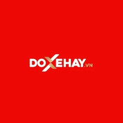 doxehayvn's profile picture