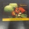 Jamaica_we_love's profile picture