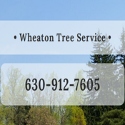 wheatontreeremoval's profile picture