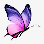 LaurieLoveP's profile picture