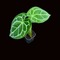 LA_Tropicamart's profile picture