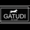 Gatudi_art_craft's profile picture
