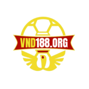 Vnd188O's profile picture