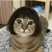 bonzbuyer_ykktl's profile picture