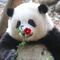 MuShang's profile picture