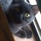PaulaG722's profile picture