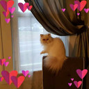 Ria_Sanacore's profile picture