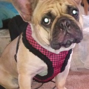 YvonneW304's profile picture