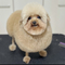 MaddyL12's profile picture
