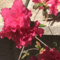 JudithW434's profile picture
