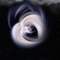 Victoria_s_Attic's profile picture